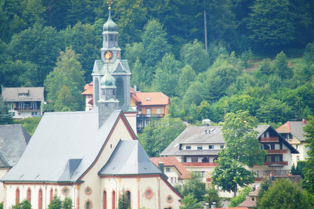 Ferienwohnung Haus Herzogenhorn Todtmoos Exterior foto